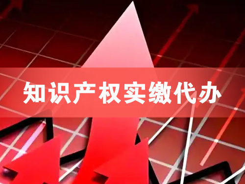 南宁知识产权实缴资本代办